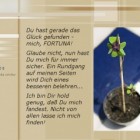 Fortuna – Puppetmaster Chat