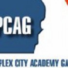 Perplex City Academy Games
